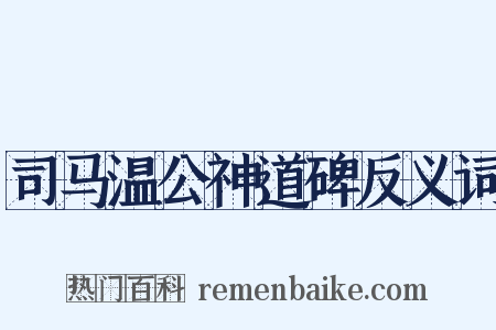 司马温公神道碑反义词是什么意思的图片